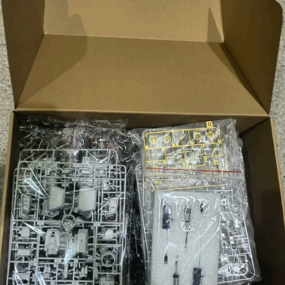 متوفر في المخزون سليمان PHYSALIS GP02 1/100 MG تجميع نموذج التوت الحامض متعدد الطبقات الهيكل العظمي أطقم منمذجة جمع اللعب #5