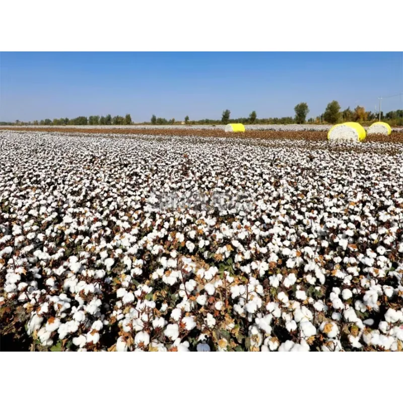 Machine portative d'élimination des graines de coton de Machine de filature de coton de Type Mini rouleau Portable