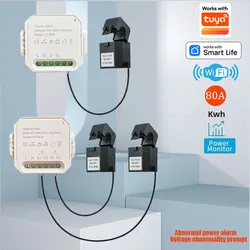 Smart Life WiFi Energy Meter 80A 1/2 Channel with Clamp App Monitor Solar Export and Import Power AC100V/240V works with Tuya