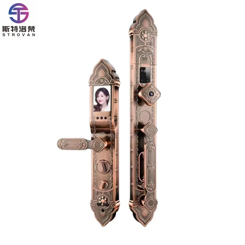 

European Style Keyless Cerradura Inteligente Home Security Key Face Recognition Card Digital Home Electronics Smart Door Lock