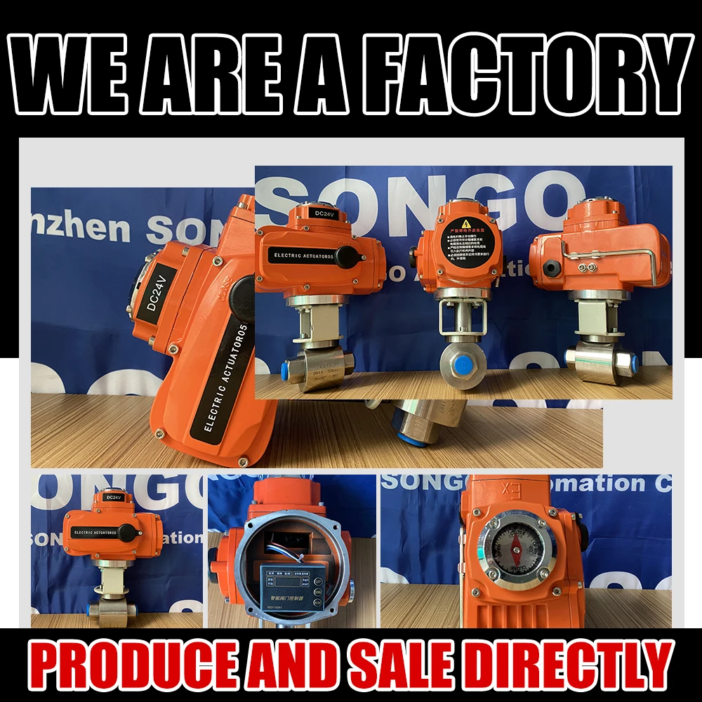 DC24V Explosion Proof Electric Ball Valve DN15 PN50 NPT Thread Titanium G5 Electric Actuator  Motor Operated 2 Way Ball Valve