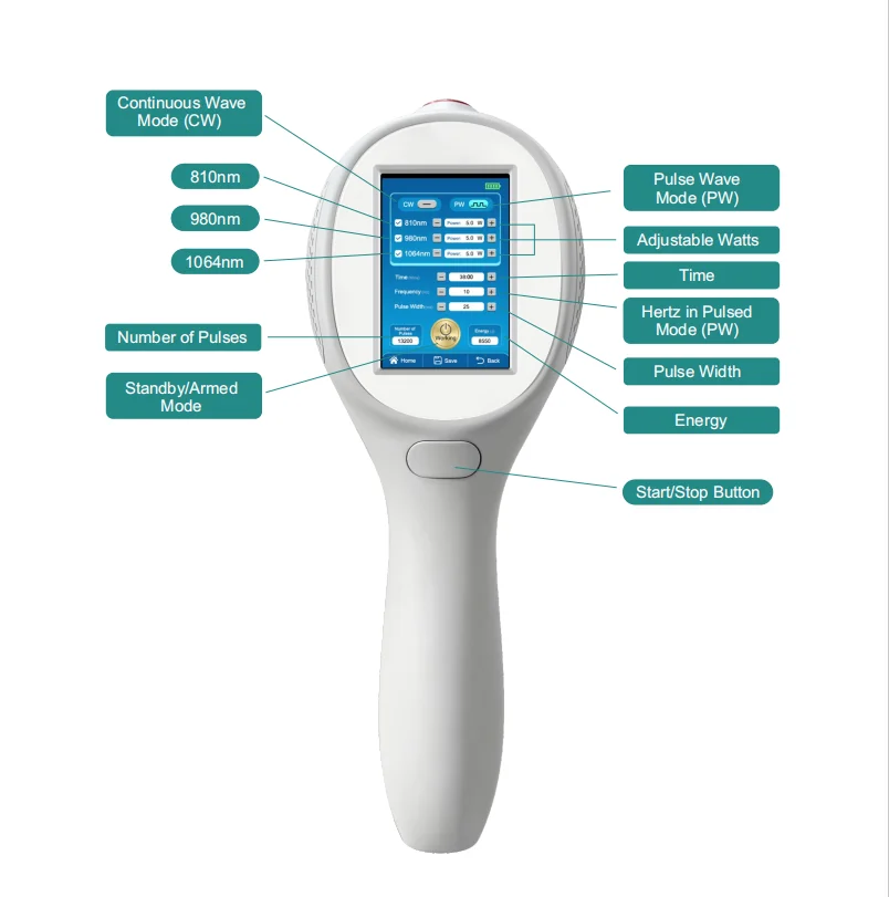 Portable 12W Powerful Laser Therapy Device 810nm 980nm 1064nm Adjustable Frequency 1-10000Hz for Chronic Pain Inflammation