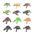 Mini Turtle B