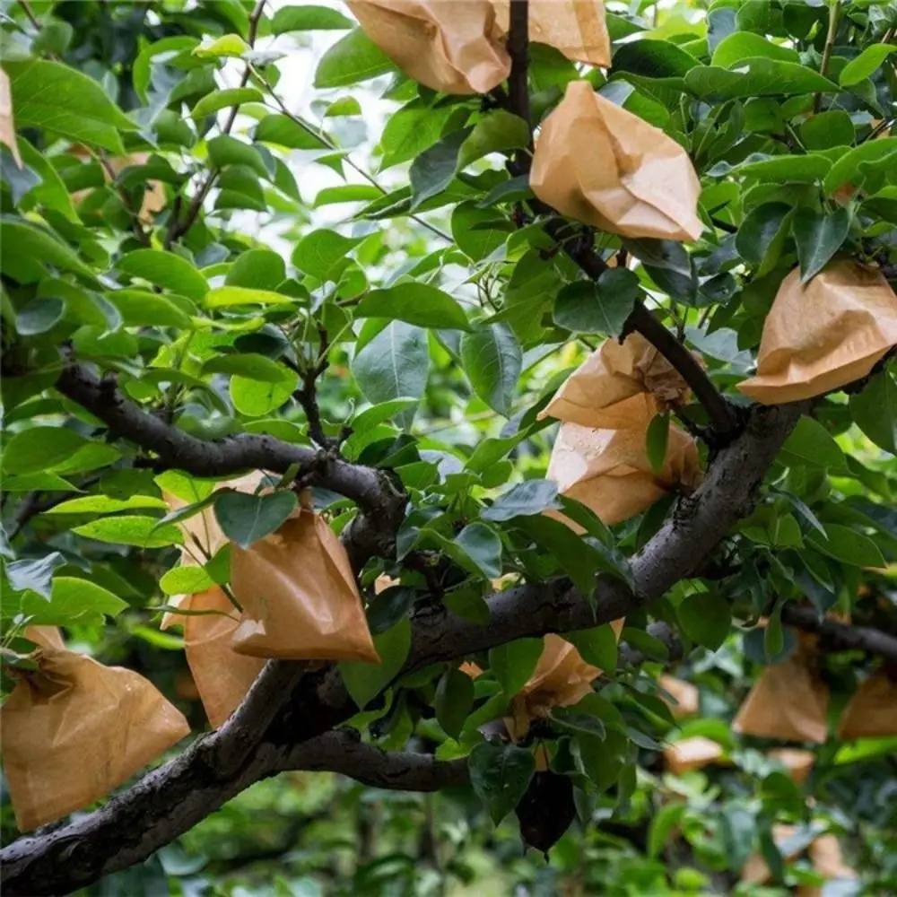 100pcs Sun-proof Orchard Fruit Protection Bags Anti-Bird Waterproof Grape Protection Cover Breathable Fruit Vegetable Paper Bag