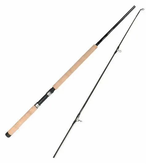 10 ft 2 piece Canadian salmon medium heavy fishing mooching rod