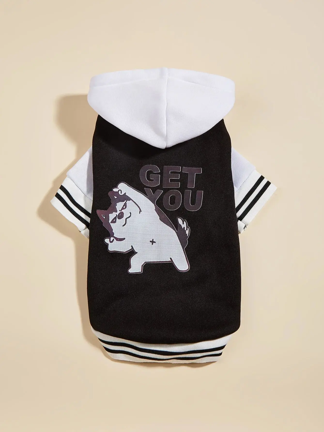 Pet clothes dog dog cat with hat jacket warm and comfortable
