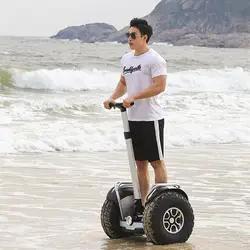 Daibot Off Road Electric Scooter 60V Two Wheel Self Balancing Scooters 19 Inch 1200W*2 Adult Mobility Scooter Waterproof WithAPP