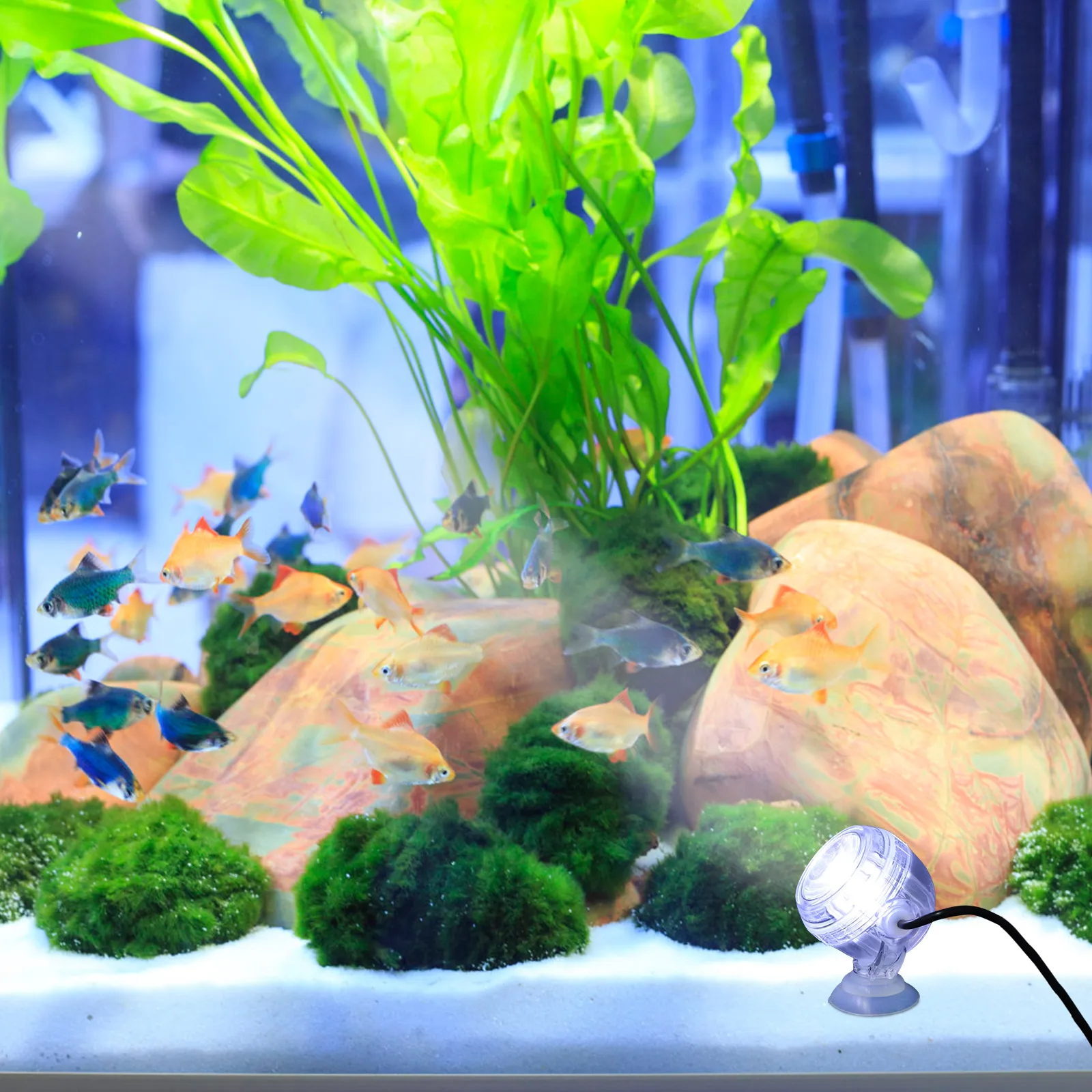 

Fish Tank Spotlight Aquarium Led Proof Decoration Lamp Abs Accessories Decorations