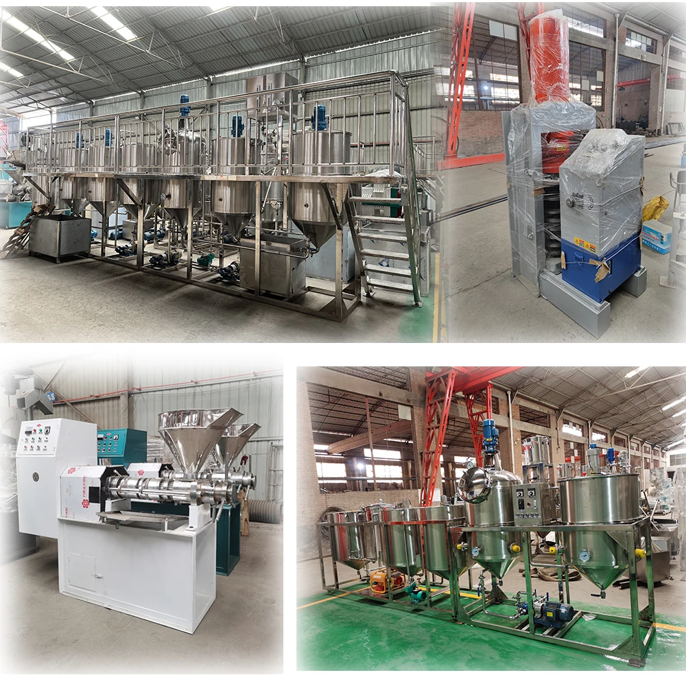 Full Automatic 500kg/h Sunflower Cooking Palm Oil Cold Press Mill Machinery Line