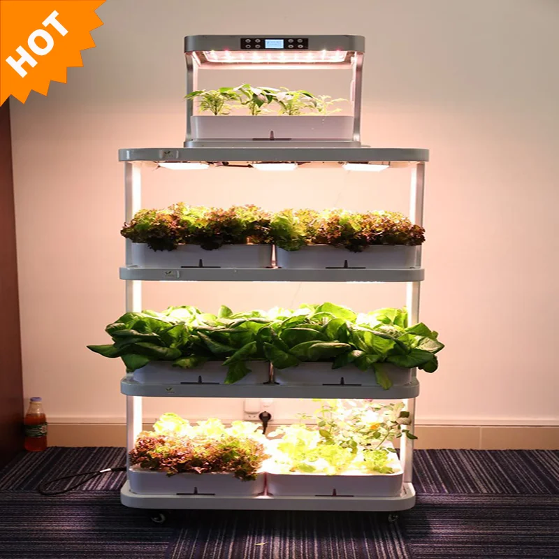 Indoor Farming EXSIPS Plant Stand Aquaponics strawberry hydroponic growing systems