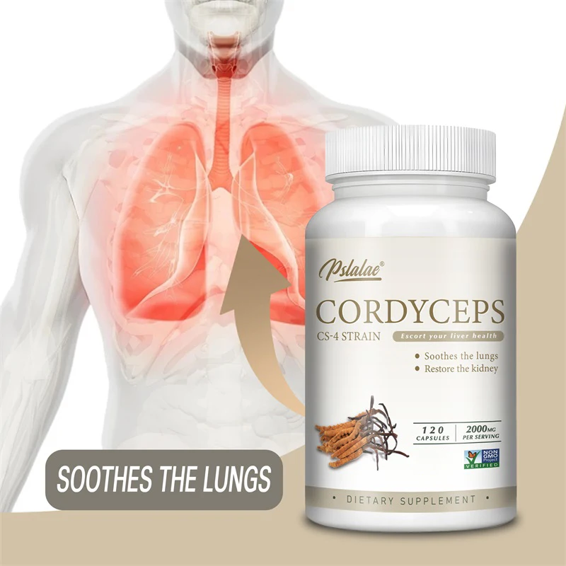 

Cordyceps - Boosting Energy and Athletic Performance Helps Relax The Mind and Body and Promotes Respiratory Health