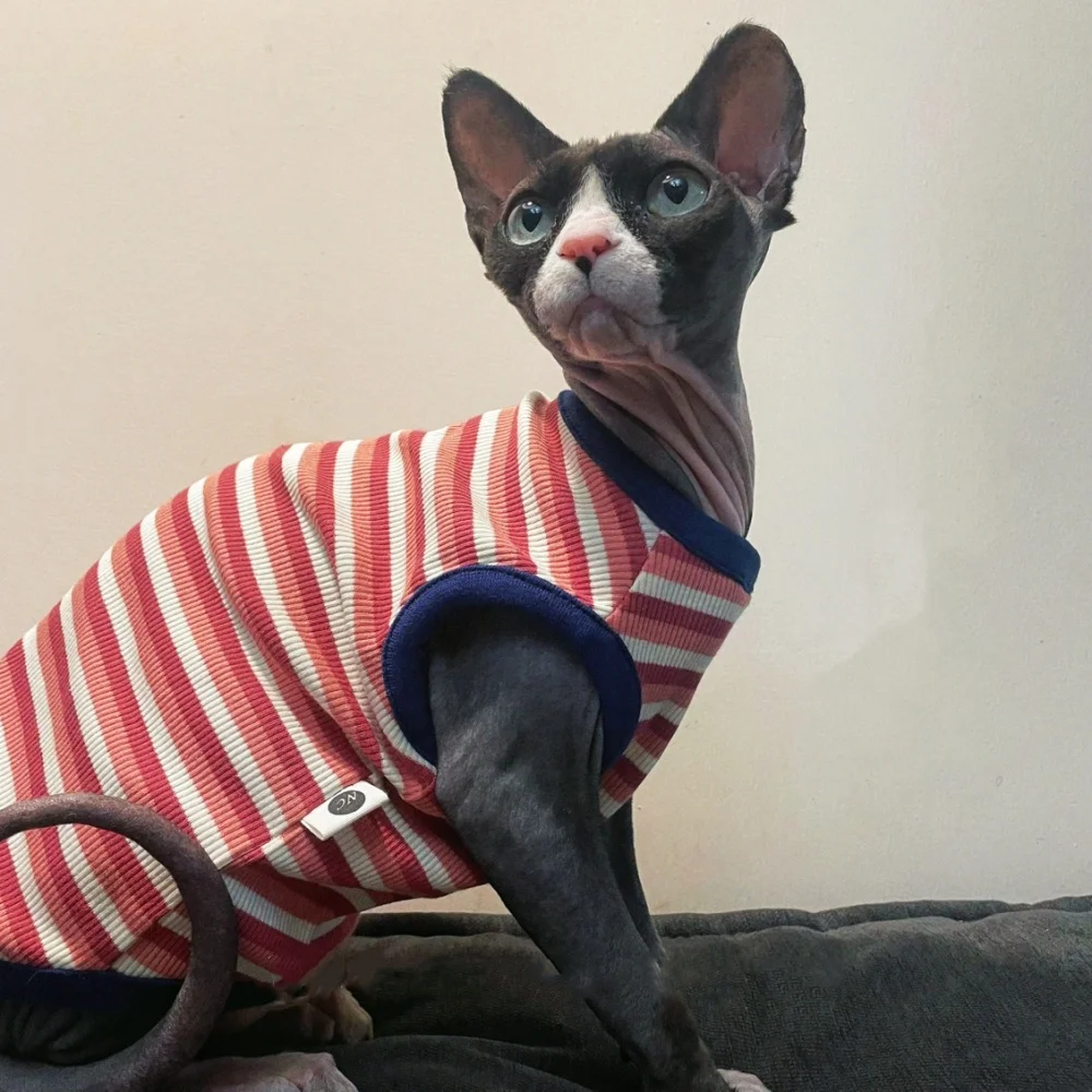 Red Striped Cotton T-Shirt for Sphynx Cat Puppies Spring Short Sleeves Coat for Kittens Summer Soft Red Jumpsuit for Devon Rex