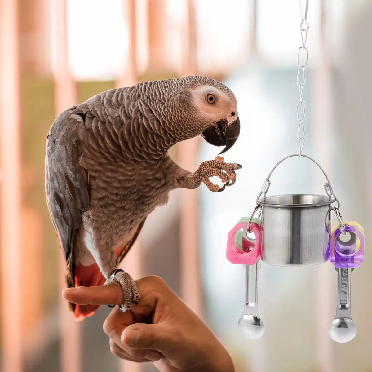 

Parrot Food Box Bird Cage Accessory Hanging Feeder Water Dish Metal Backyard Parrots Cup Plastic Swing