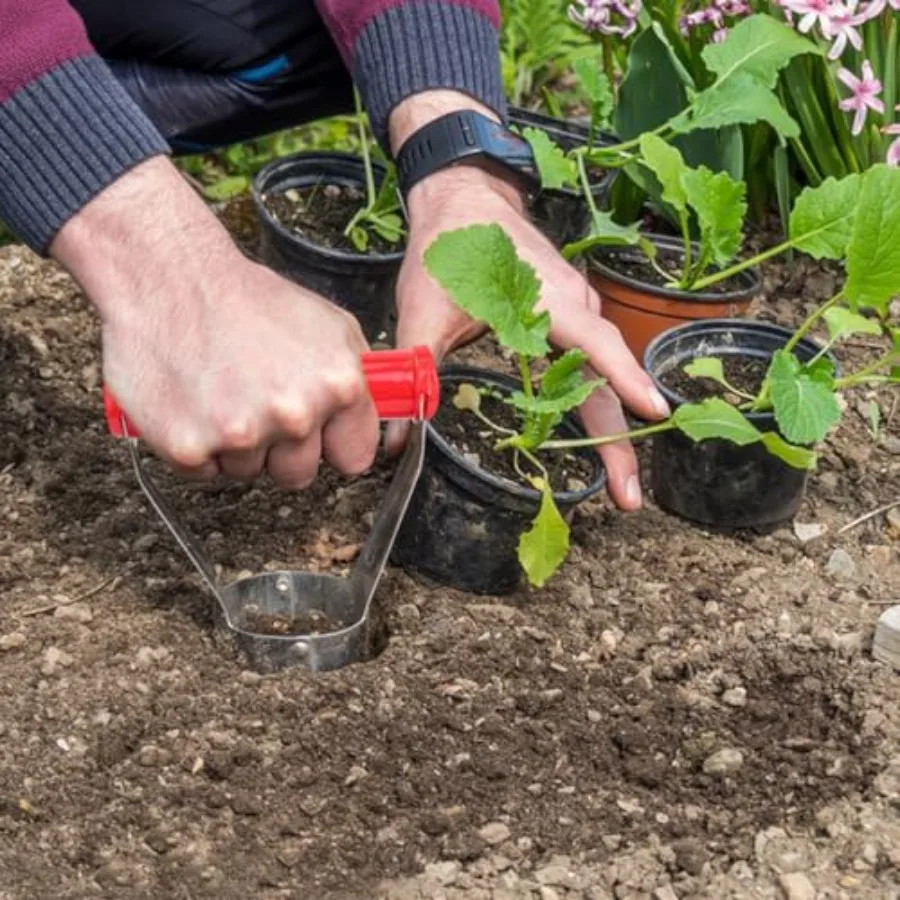 Paquete de 10 herramientas para plantar bombillas con profundidad marcada para una plantación eficiente de tulipanes y narcisos, herramienta de trasplante versátil para Gar