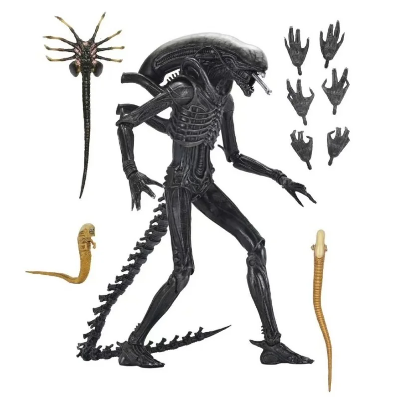 

7-дюймовая экшн-фигурка NECA Alien Romulus — шарнирная модель ксеноморфа, коллекционная игрушка Predalien XX121
