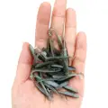 XZ001 10pcs HEIBAI