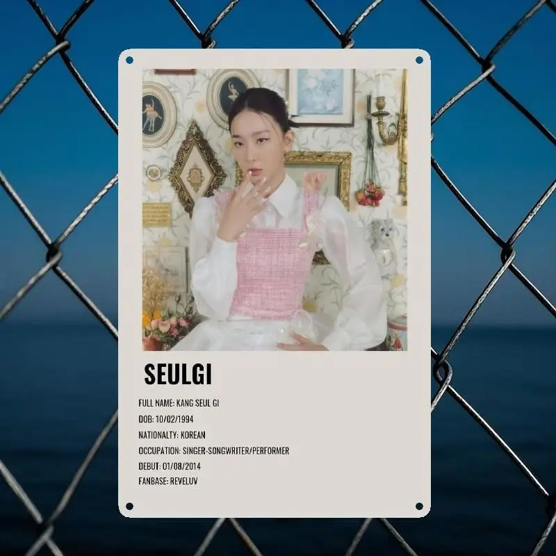 Seulgi: Korean Singer-Songwriter Profile Metal Tin Sign with Pre-Drilled Holes - Vintage Retro Wall Art for Home, Cafe, Garage,