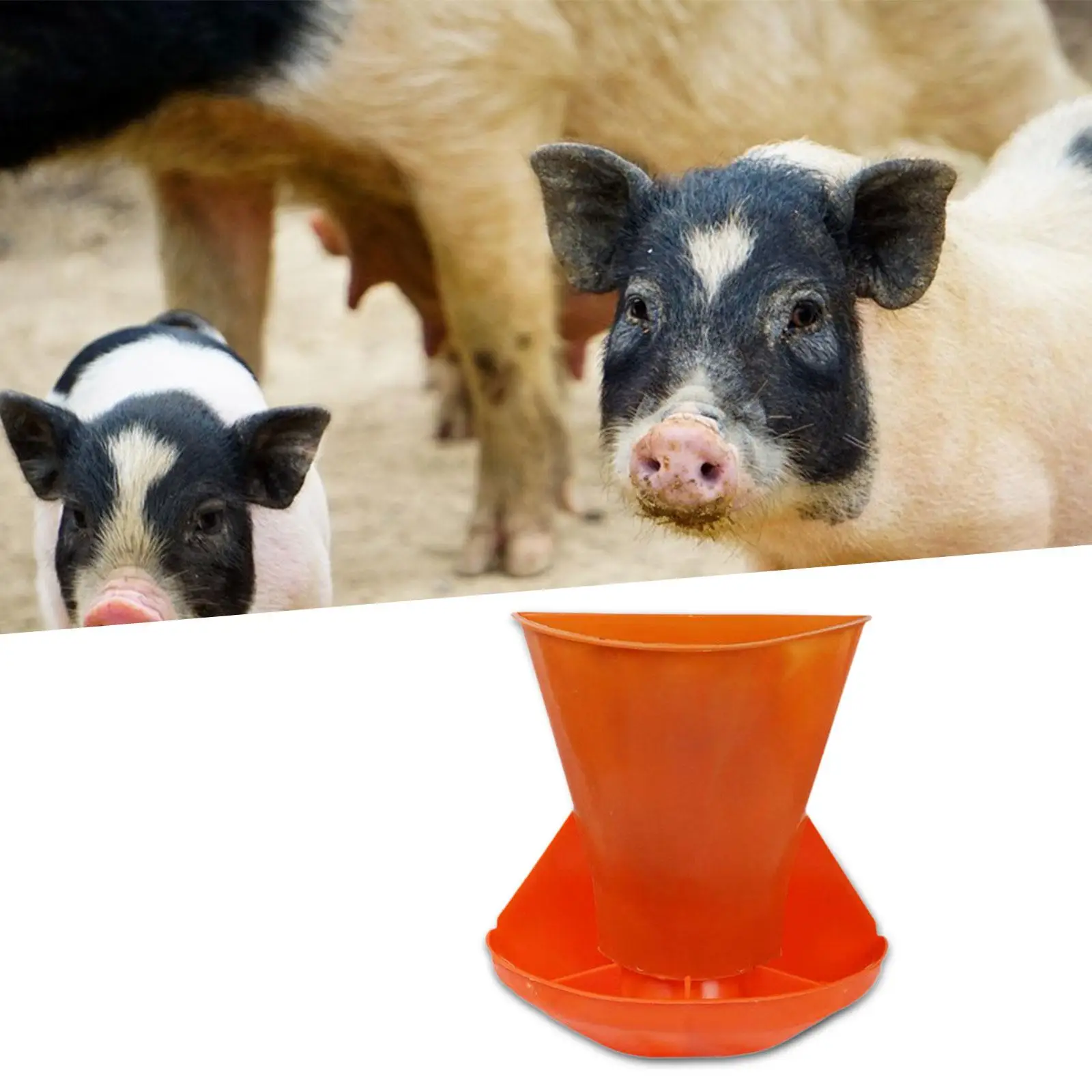 

Livestock Feeder,Piglet Feeding Trough Easy to Clean Animal Husbandry Equipment Wall Mounted Farm Pig Manger feed Dispenser
