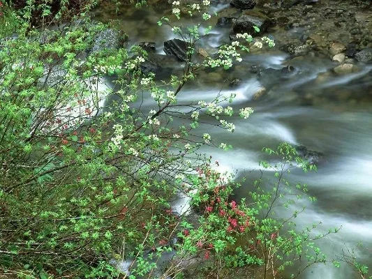 

Automatic Stirring Cup Mug Rechargeable Portable Coffee Electric Stirring Rotating Magnetic Home Drinking Tool Cocktail Set