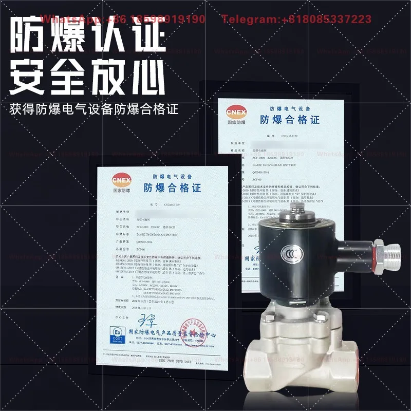 1.6MPa 2.5Mpa Stainless Steel Explosion Proof Solenoid Valve Thread Connection Normally Closed Open Type 220V 24V