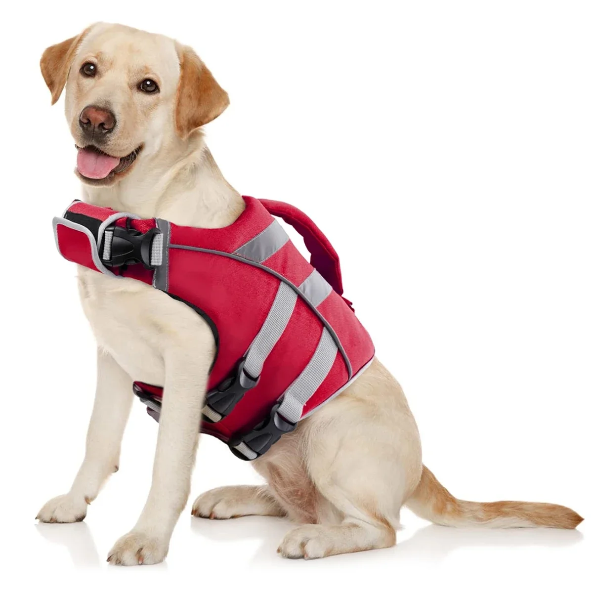 

Ensure Your Dogs Water Adventures are Safe and Stylish Premium Waterproof Dog Life Jacket with Reflective Stripes, Extra Stick