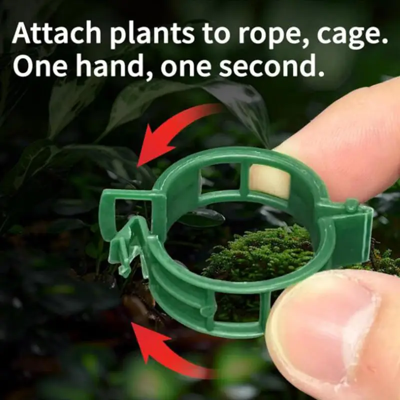 

Flower Fixed Lashing Hook Greenhouse Agriculture Supplies Branch Binding Plant Vine Fastening Clip Kiwi Grape Vine Vegetable
