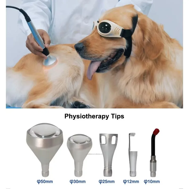 Therapy Red Light Laser 30w Veterinary Co2 Laser Surgical Cutting Machine Laser Surgery Equipment