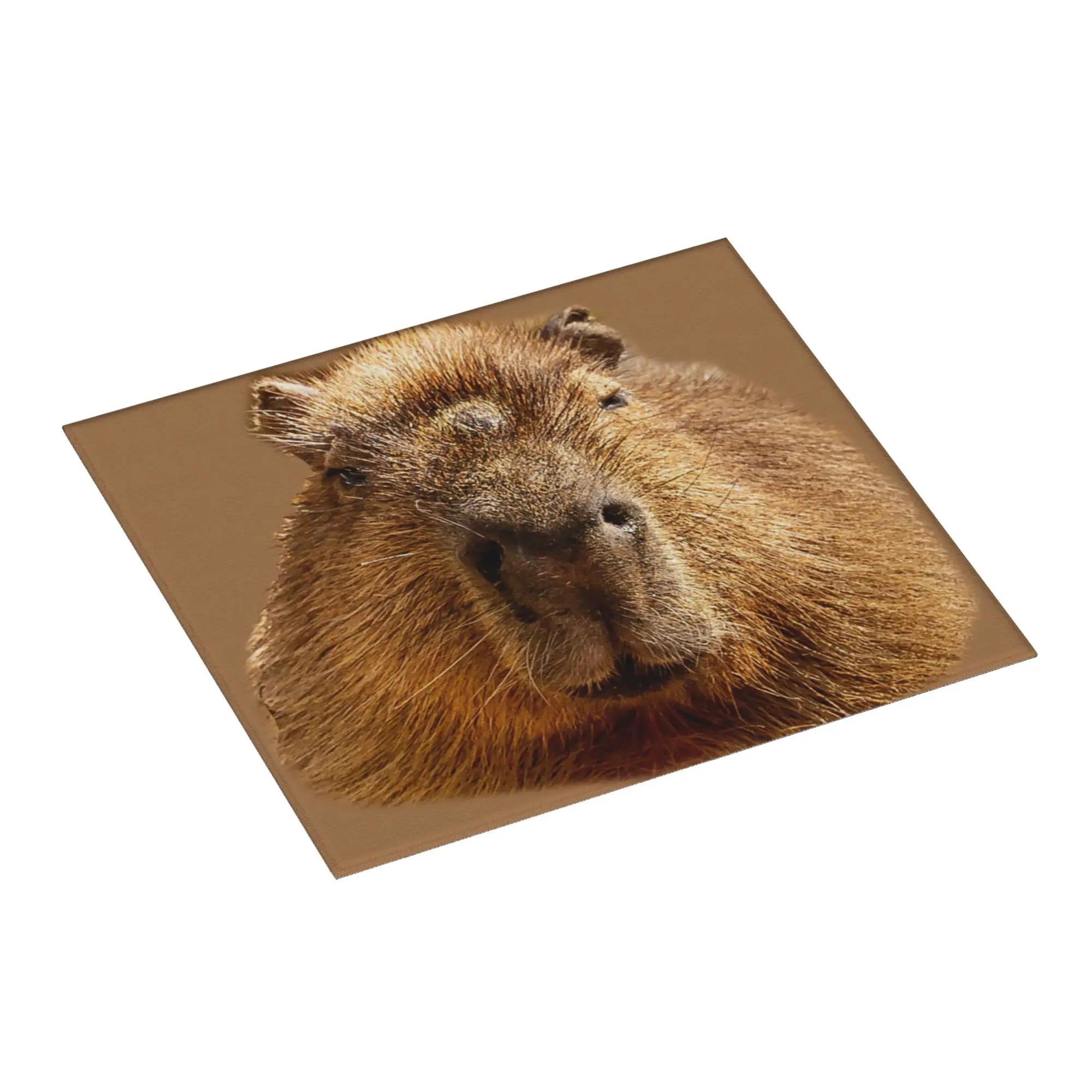 Capybara Dozing In The Sunshine Printing Non‑Slip Waterproof Absorbent Barware Tableware Oil Proof Reusable Mat For Kitchen