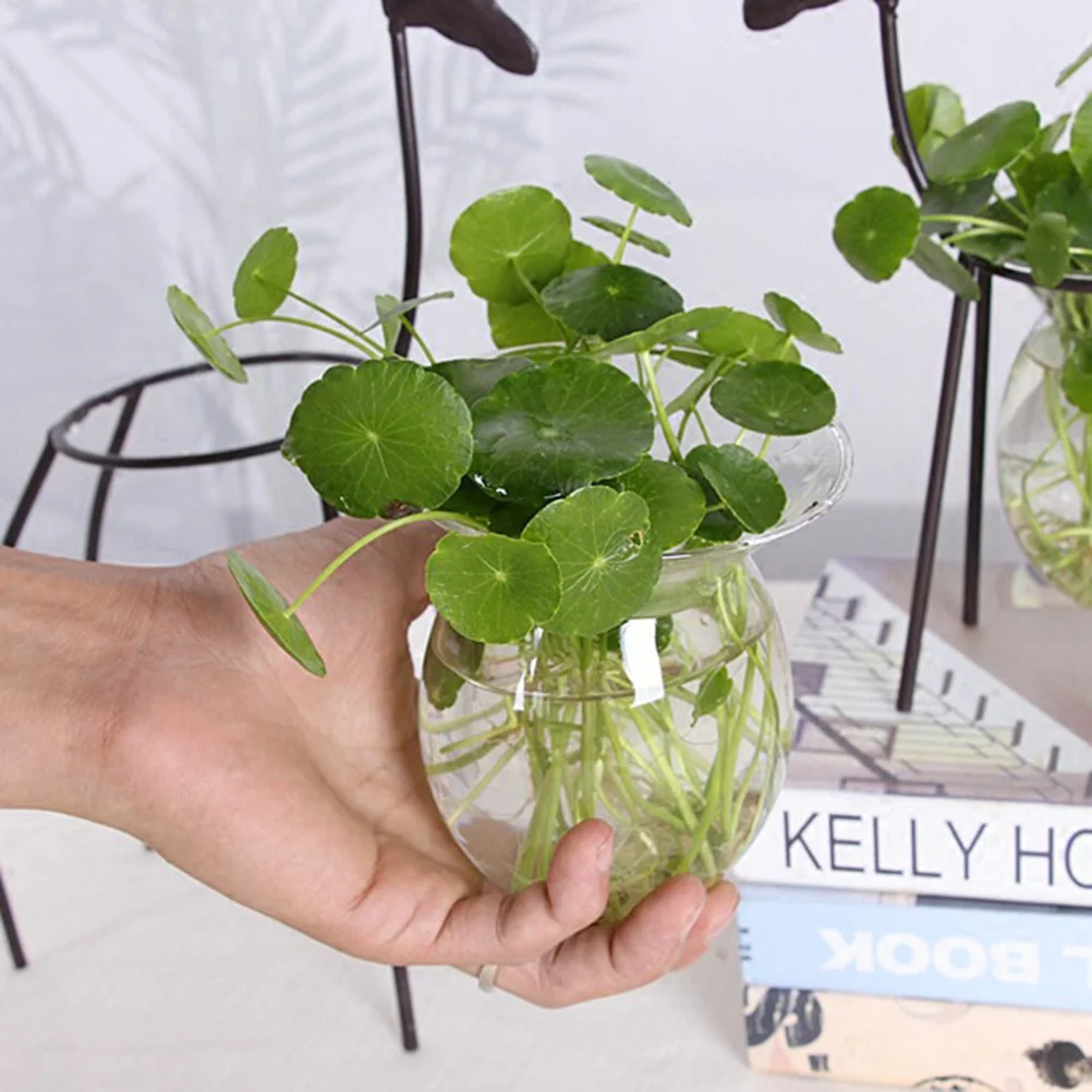 

Iron Deer Display Stand Planter Holder for Glass Vase Micro Landscape Decorations Creative Indoor Outdoor Use No Plant