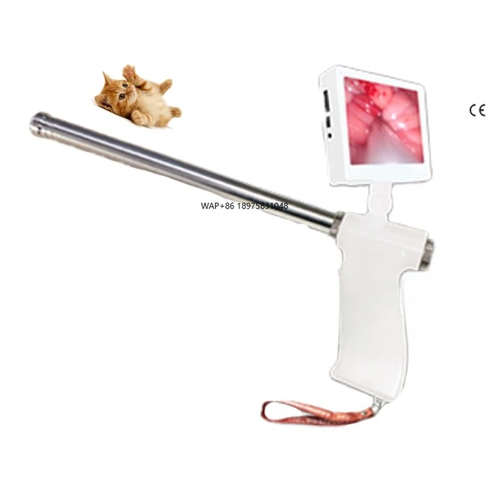 

High-quality dairy veterinary insemination tools