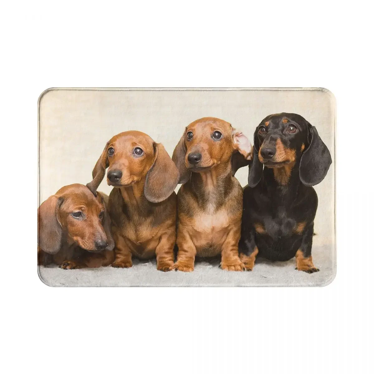 Dachshund Dog Doormat Bathroom Modern Polyeste Mat Kitchen Home Living Room Funny Pupy Decor Floor Rug Floor Mat Bath Mat