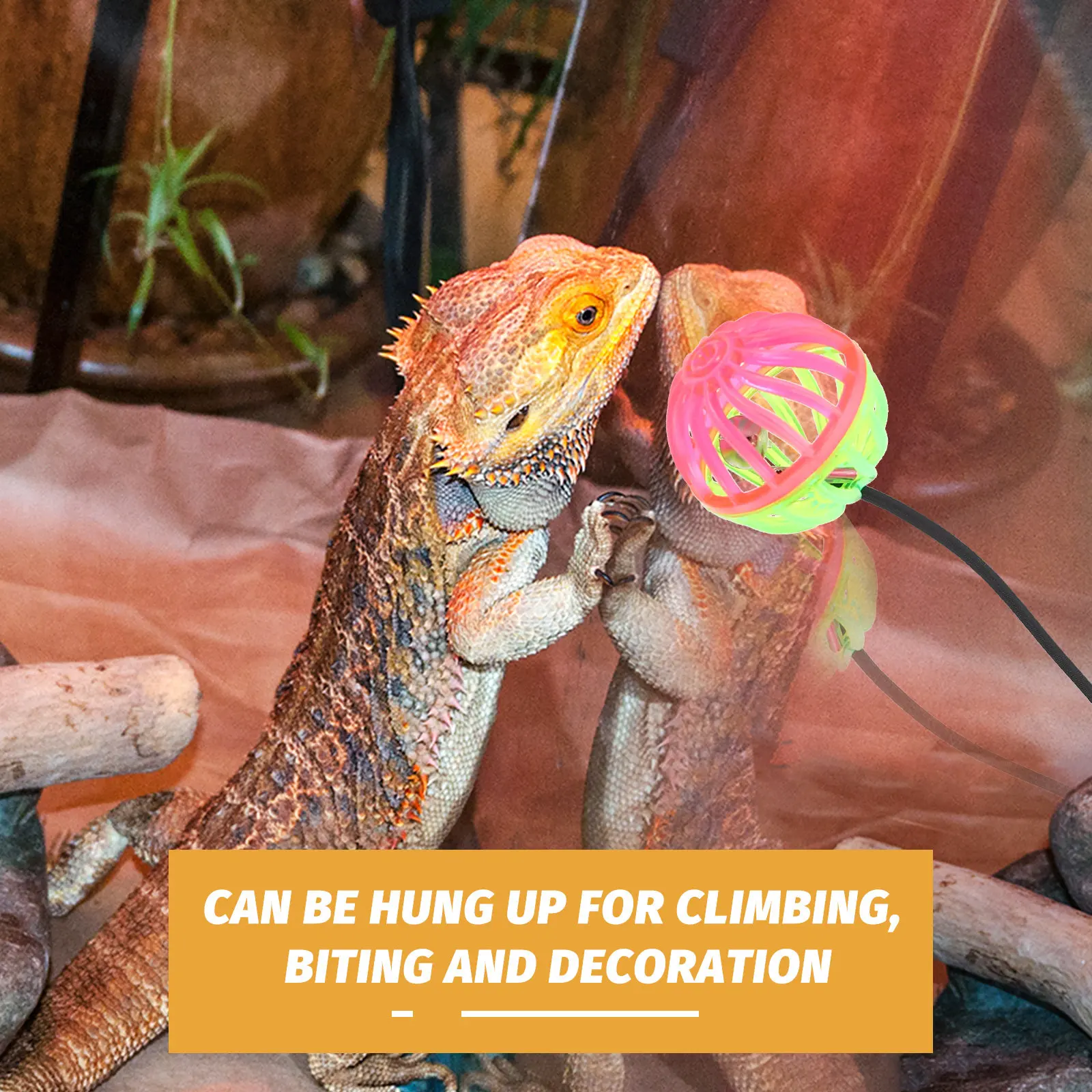 

7Pcs Reptile Bell Ball Hanging Climbing Chew Play Lizard Bearded Dragon Household Interesting Wear-Resistant Funny Interactive