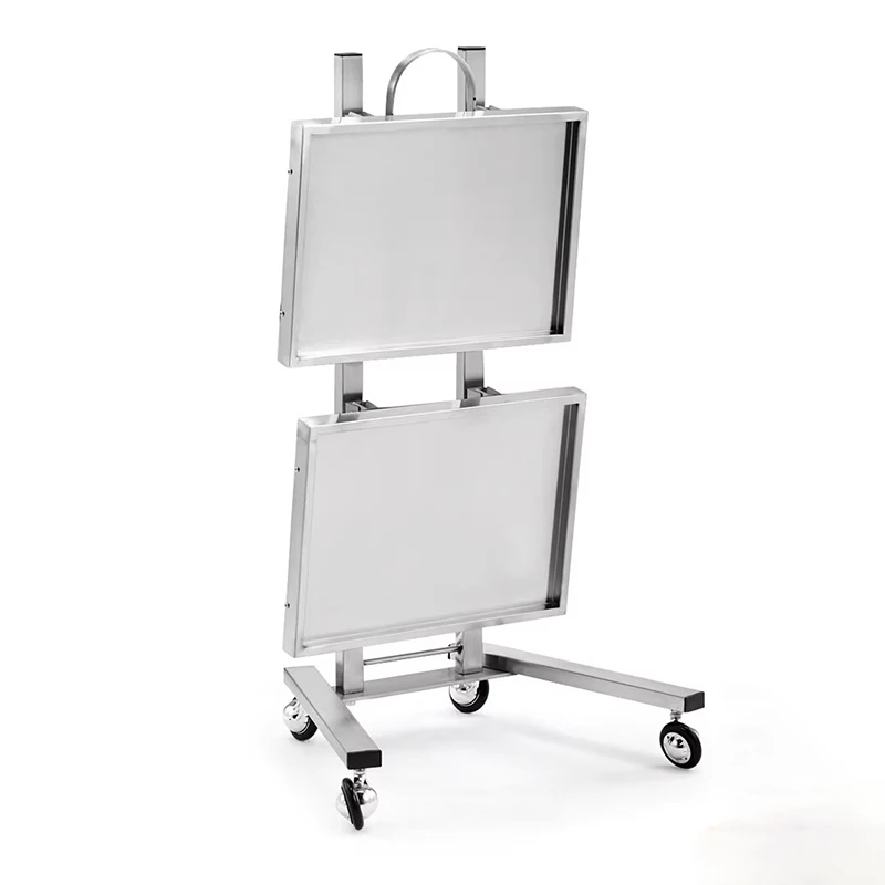 Designer Beauty Salon Trolley Stainless Metal Hospitality Salon Trolley Manicure Carrito De Bar Multifuncional Furniture Fg19