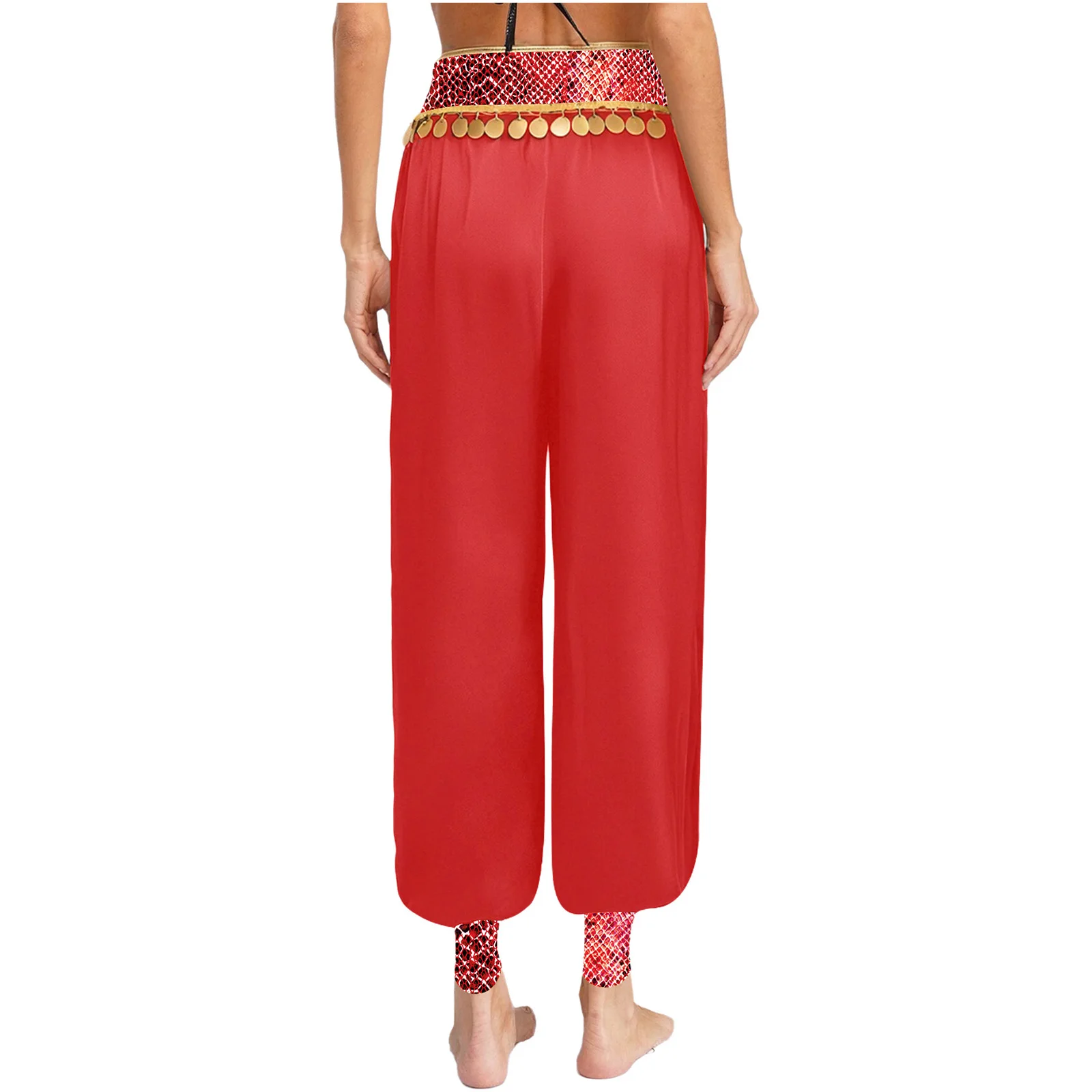 여자 인도 요정 밸리 댄스 카니발 벨리 우드 의상 아라비안 공주 블루머 스플 라이스 스팽글 프린지 하렘 바지 바지