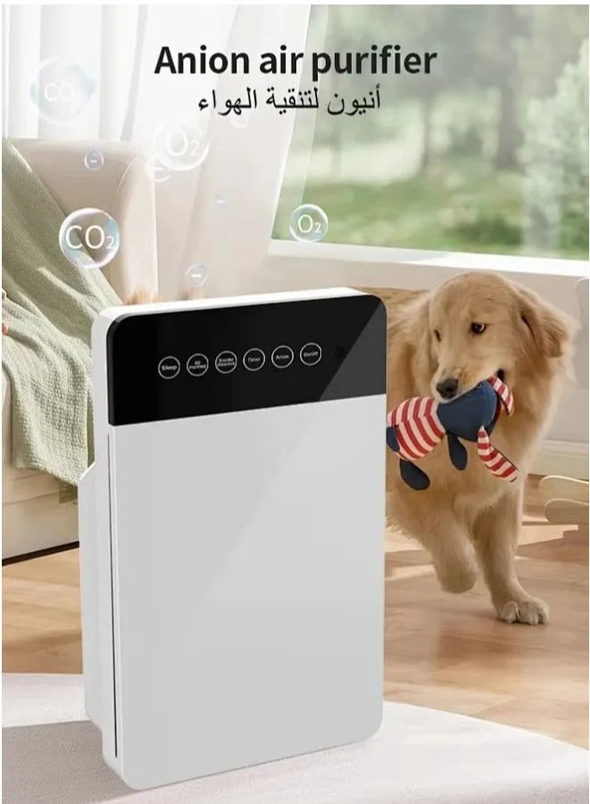 Air Purifiers for Bedroom, Anion Air Purifier HEPA Filter for Pollen Dander Hair Smell, low noise