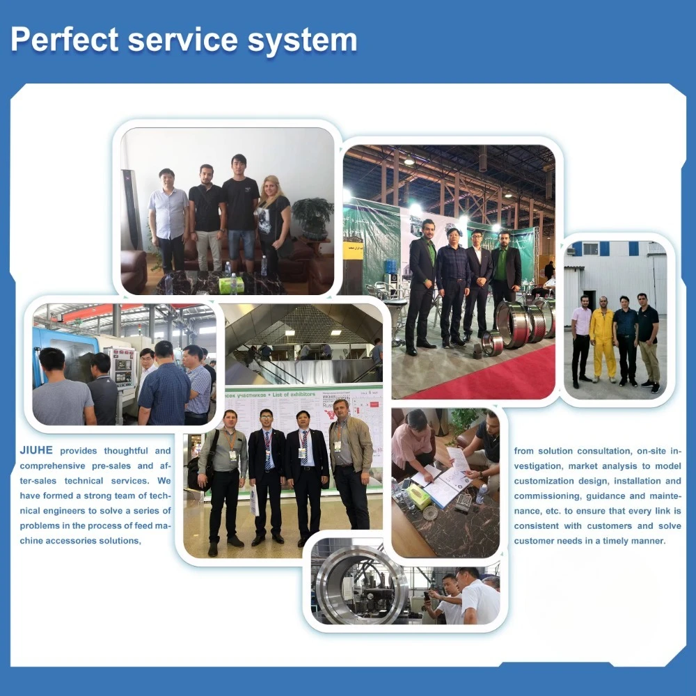 Livestock Feed Pellet Mill Machine Spare Parts Industrial Pelletizer Matrix Matrize Pellet Ring Die - view 6
