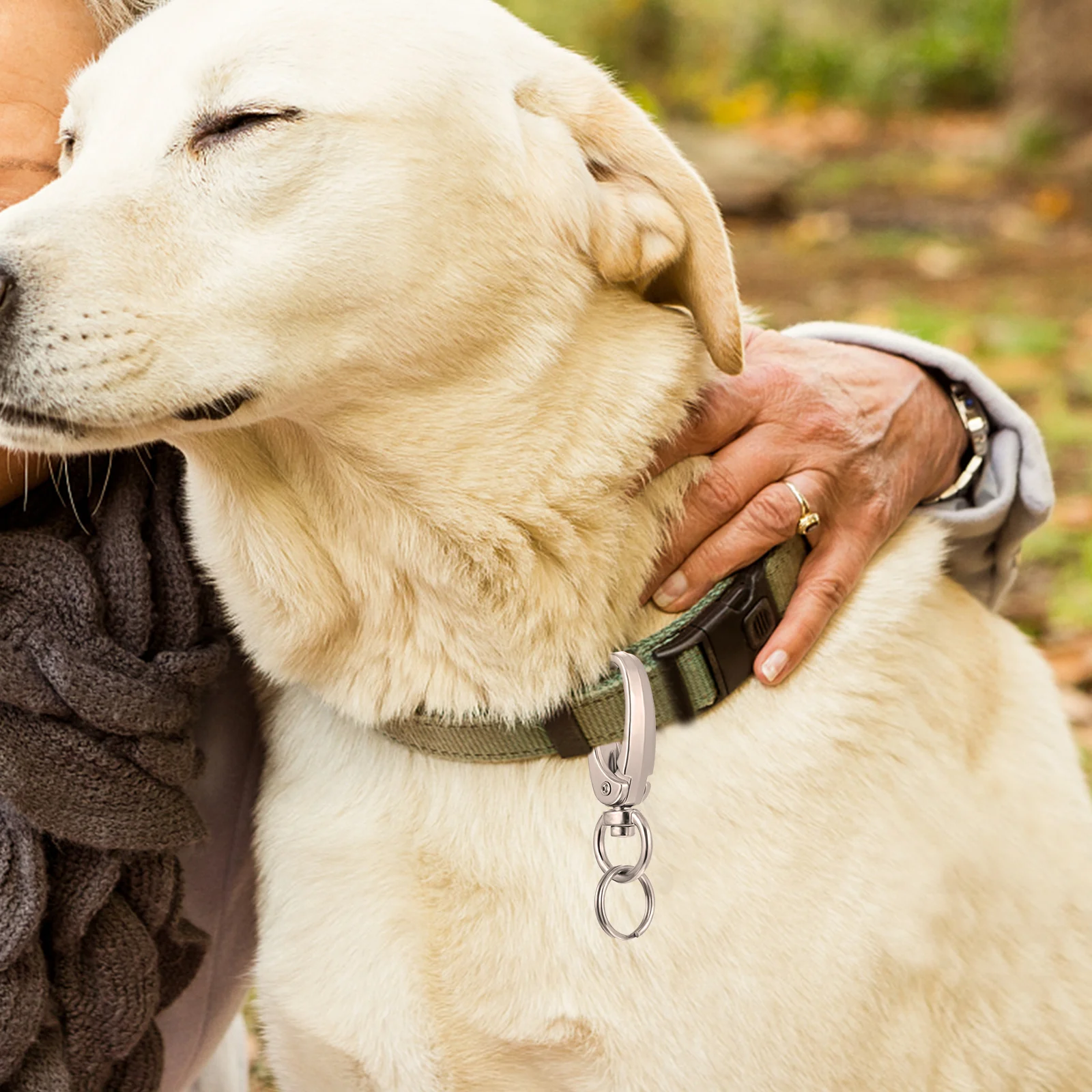 

1Set Dog Tag Clip Set Pet Tag Holder Zinc Alloy Durable Lightweight for Collar Harness Easy Install