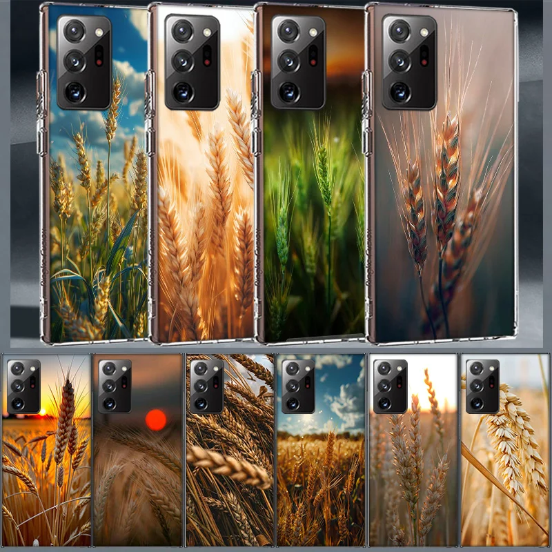 Mature Wheat Grains Coque For Samsung A55 A35 A25 A15 Phone A05S Note 20 Ultra 10 Lite 9 8 M52 M51 M32 M31 M30S M21 J8 J6 J4 P