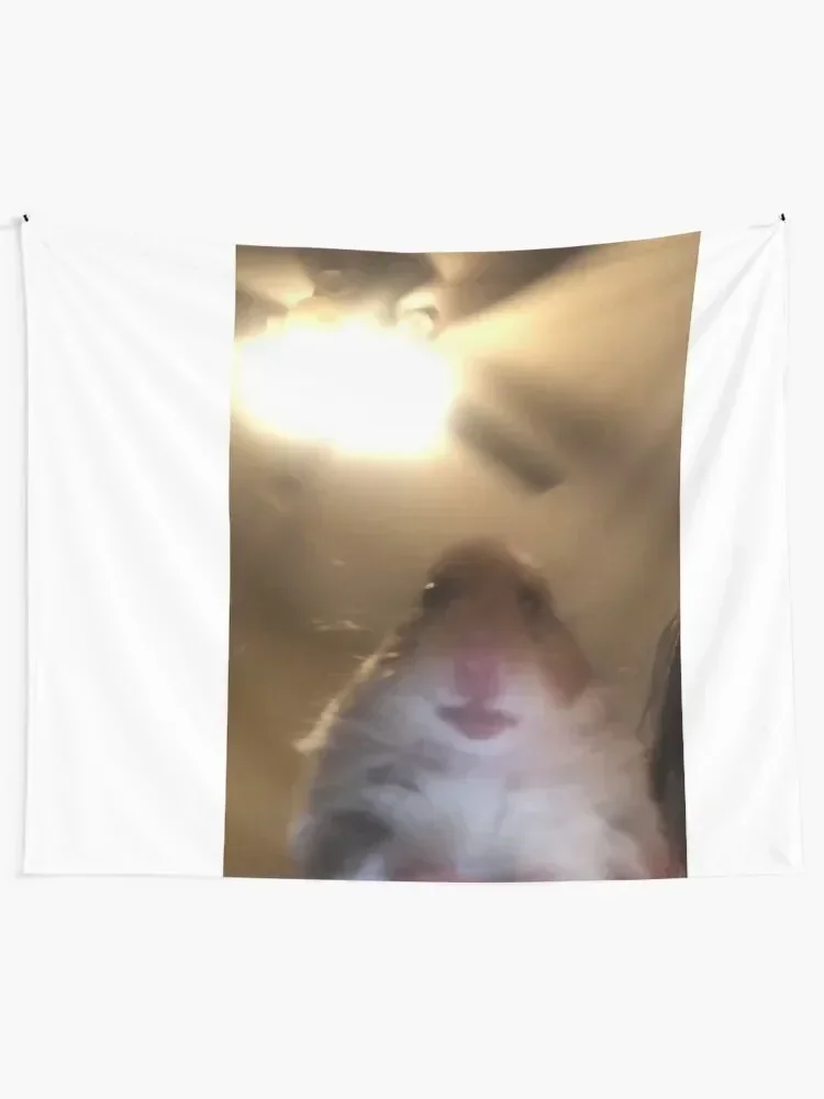 staring hamster meme Tapestry Tapete For The Wall Decoration Room Wall Hangings Decoration Aesthetic Room Decorations Tapestry