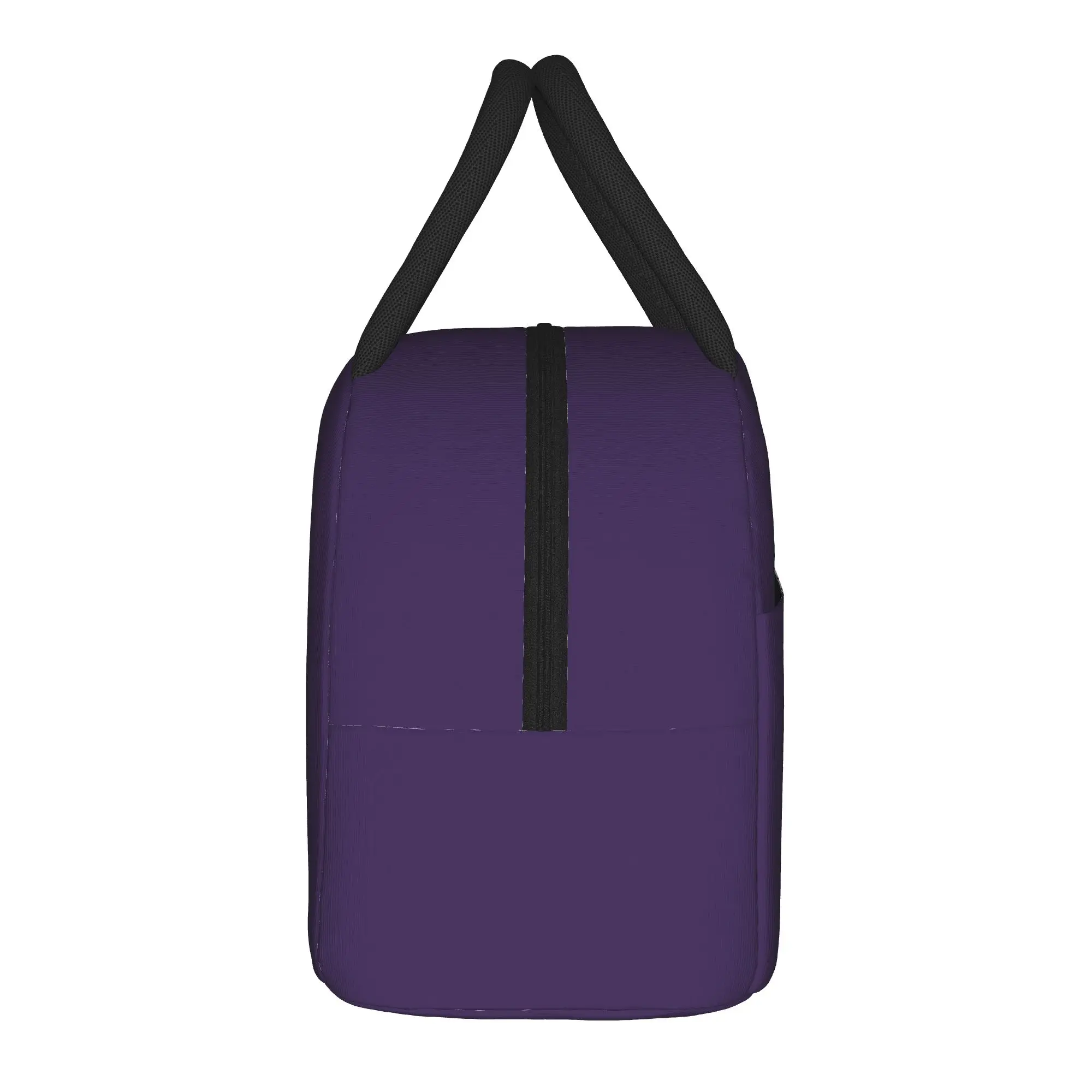 Mewgenics Stacy  Insulated Lunch Bag Cooler Bag Reusable,Lunch Container  High Capacity Tote Lunch Box for Men Women