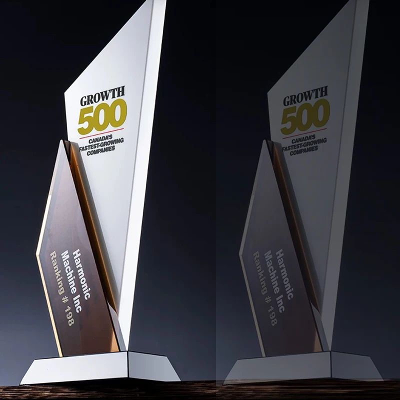 

Customized Creative Crystal Trophy, Engraved Upscale Authorization Plate, Honor Award Souvenir, Excellent Staff Team Trophy, 1Pc