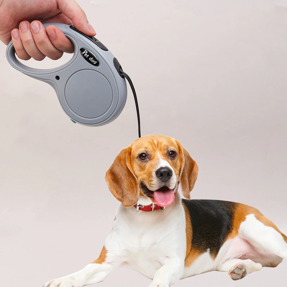 5/3M Automatic Retractable Pet Leash for Small Medium Dogs Enduring Nylon Cat Lead Extend Puppy Walking Running Traction Rope