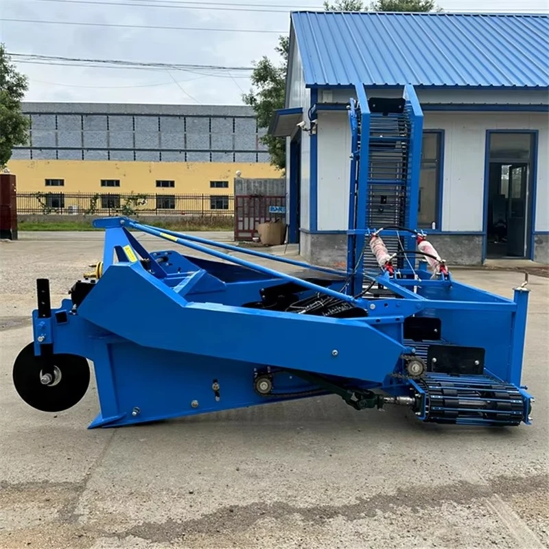Farm Agricultural Equipment Au - Agriculture Onion Farming 评论和价格