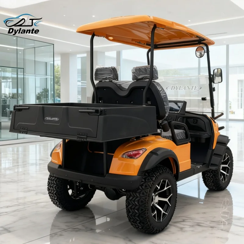 

2-местная электрическая тележка для гольфа, мощный привод 4X4, 10 кВт, очень большое пространство для хранения, тележка для гольфа на солнечной энергии, внедорожник для сафари
