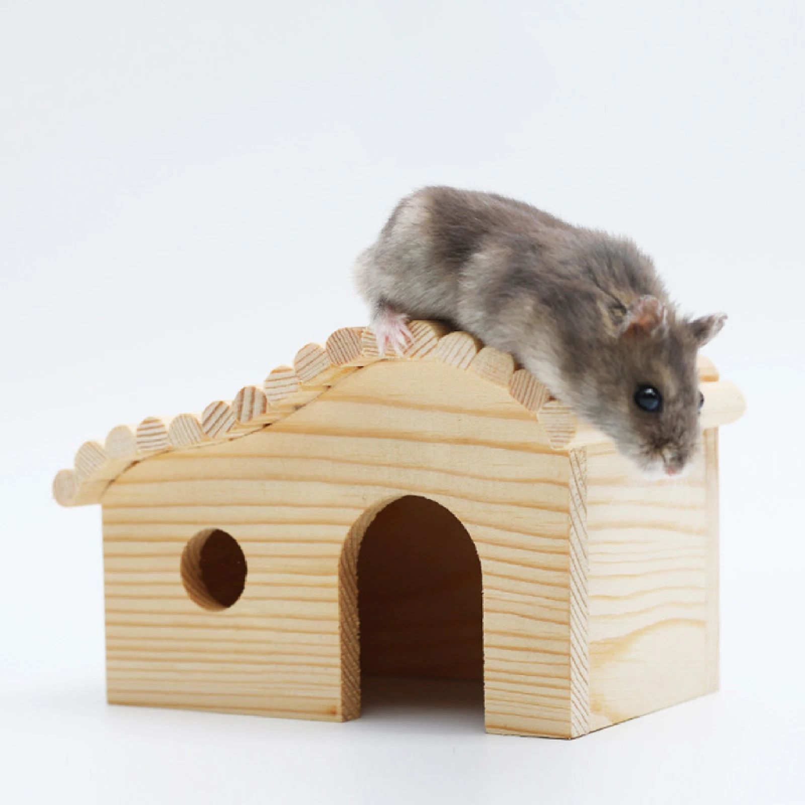 Thumbnail 4 - #15 Latest Pet Habitat Decors Offers