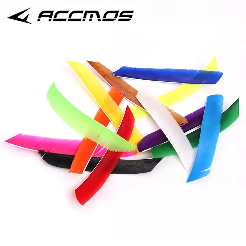 36pcs Real Turkey Feather Arrow Feathers Multicolor Full length Fletching  for Archery Hunting and Shooting