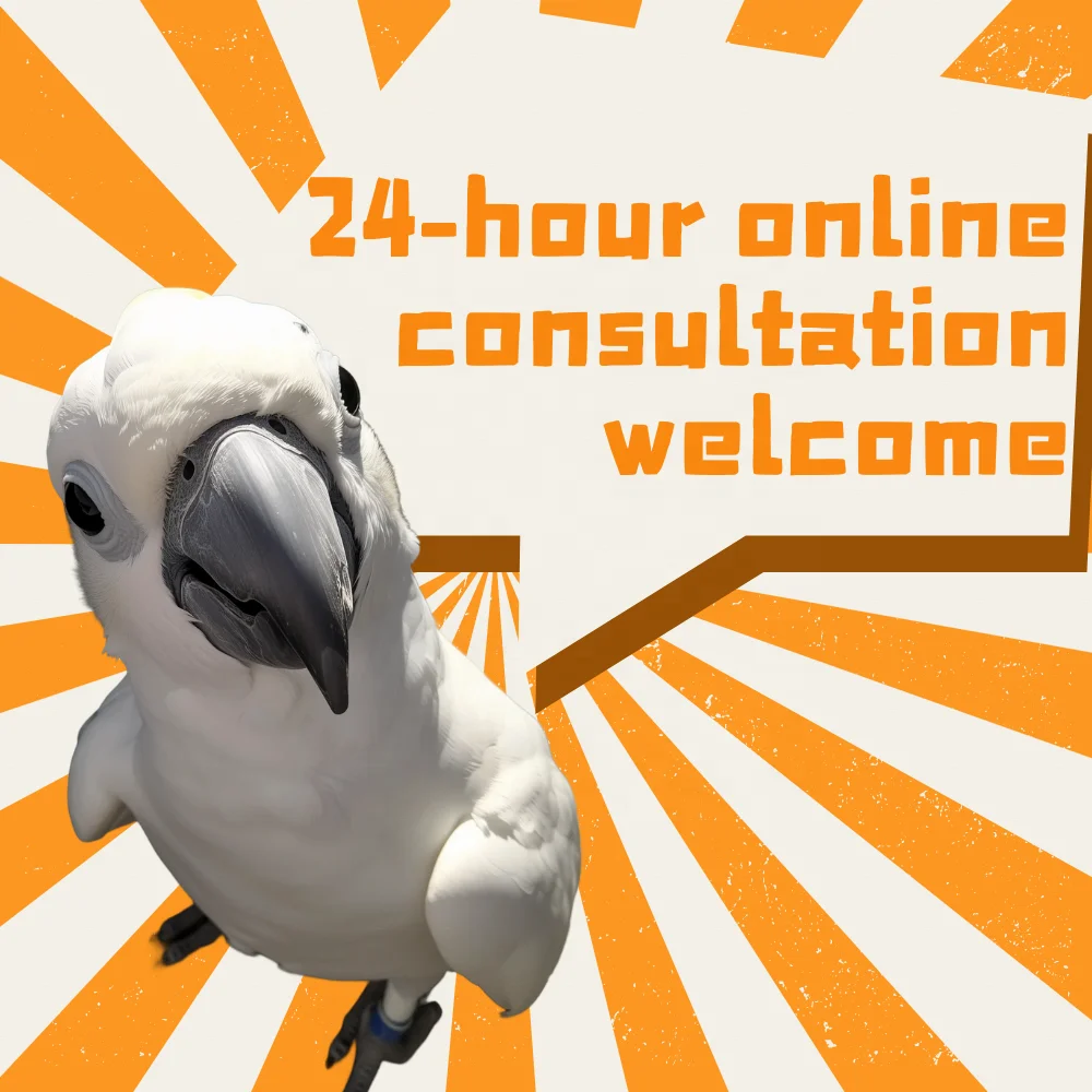 Night Driving Safety with a Smart Anti-Glare Rearview Car MirrorHigh-Definition Wide-Angle Rearview Mirrors: a Must-Have Upgrade