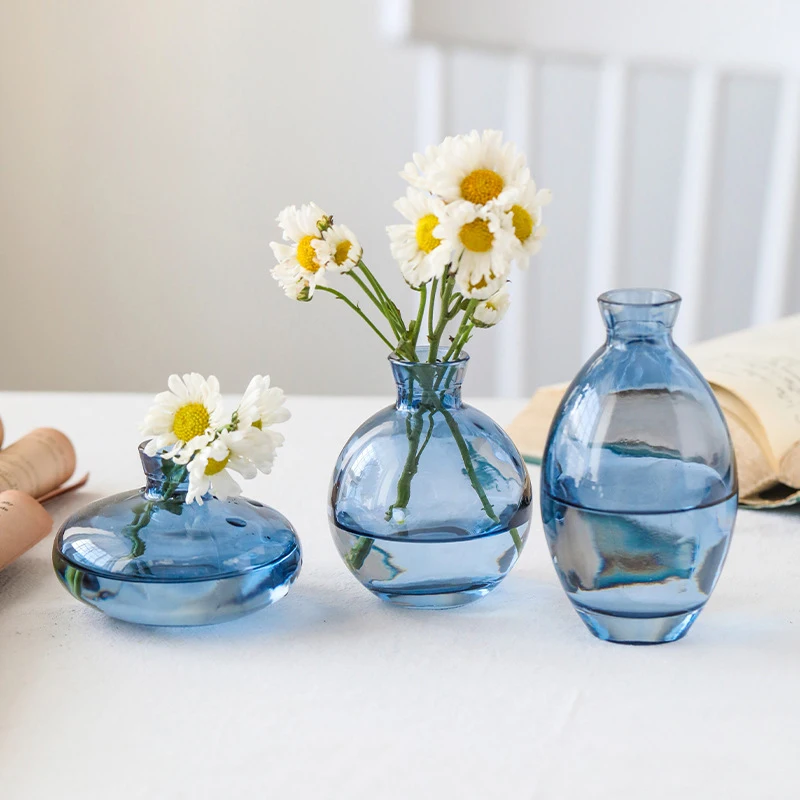 Classic Creative Vase Top Quality Glass Transparent Hydroponic Vase Living Room Flower Vase Home Decoration