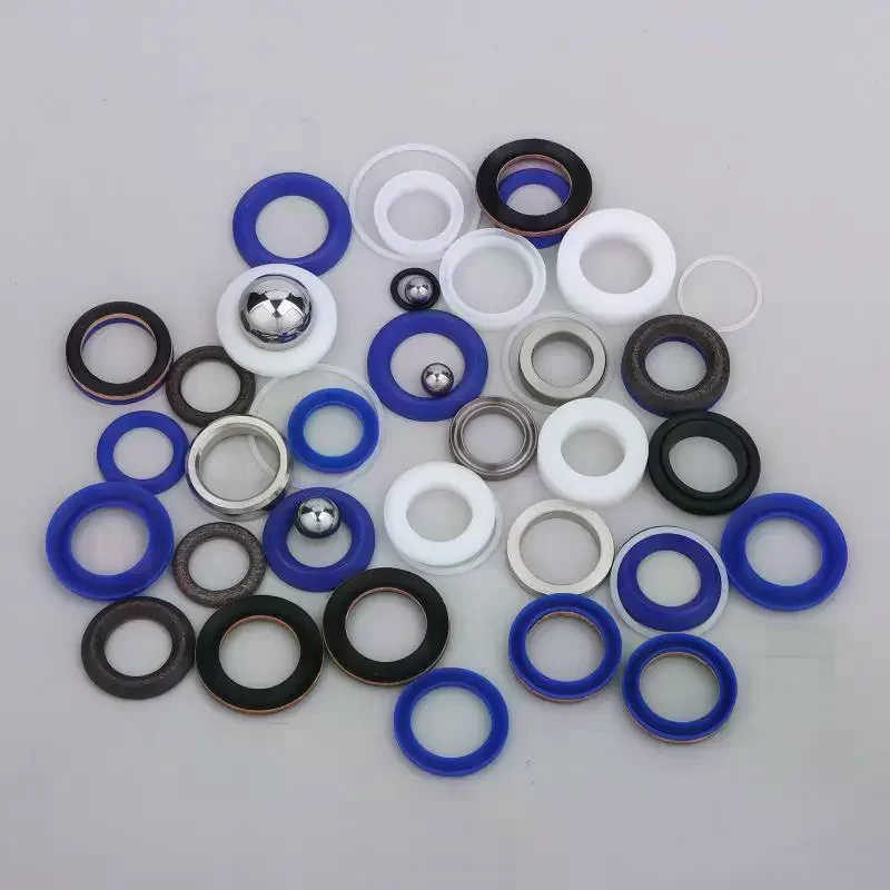 

244194/248212/248213/249123 Airless Spray Pump Repair Kit Seal Gasket Filter For Pump 395 695 1095 2030
