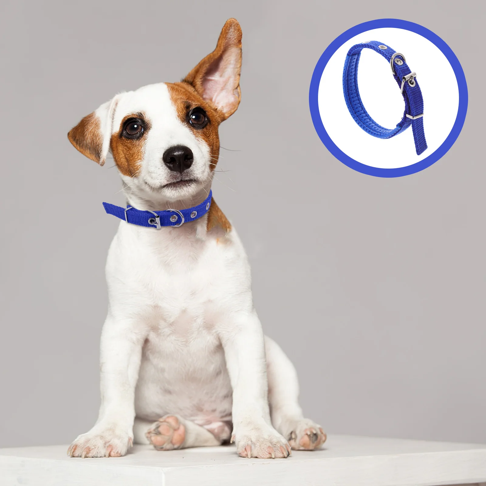 

Adjustable Pet Collar Durable Foam Material Alloy Buckle Soft Comfortable Wear-Resistant Collar for Dog Puppy Cat Kitten